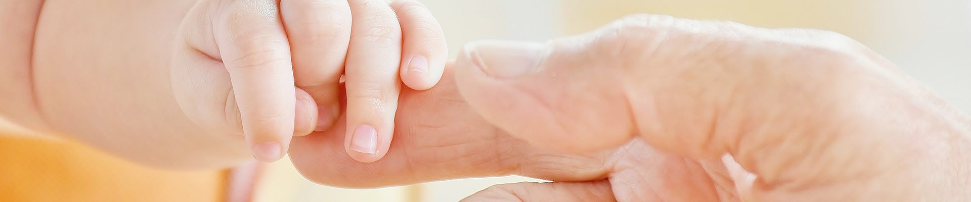 infant bottle sterilizer